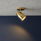Modern Brass Spotlight Ceiling Light