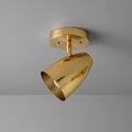 Modern Brass Spotlight Ceiling Light