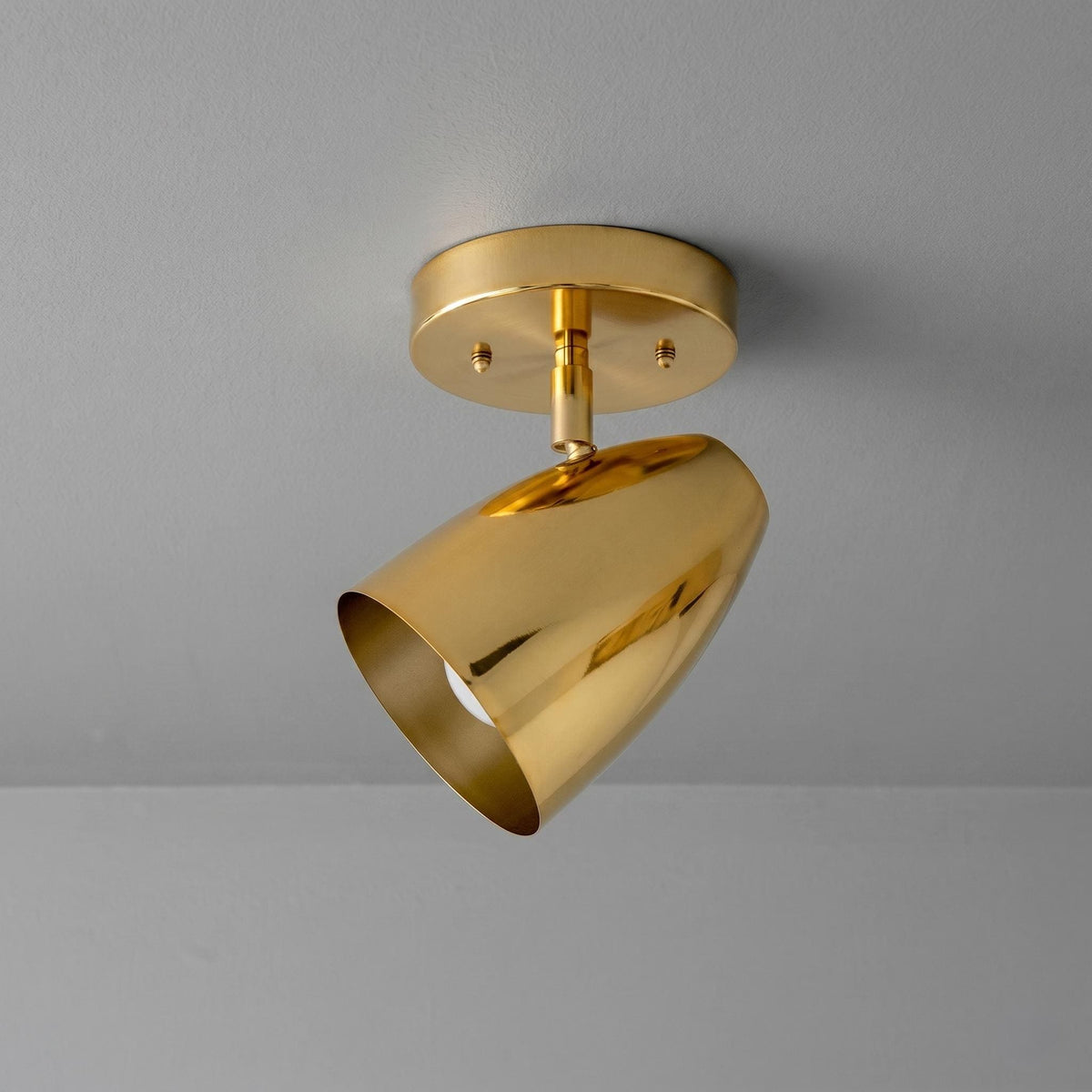 Modern Brass Spotlight Ceiling Light