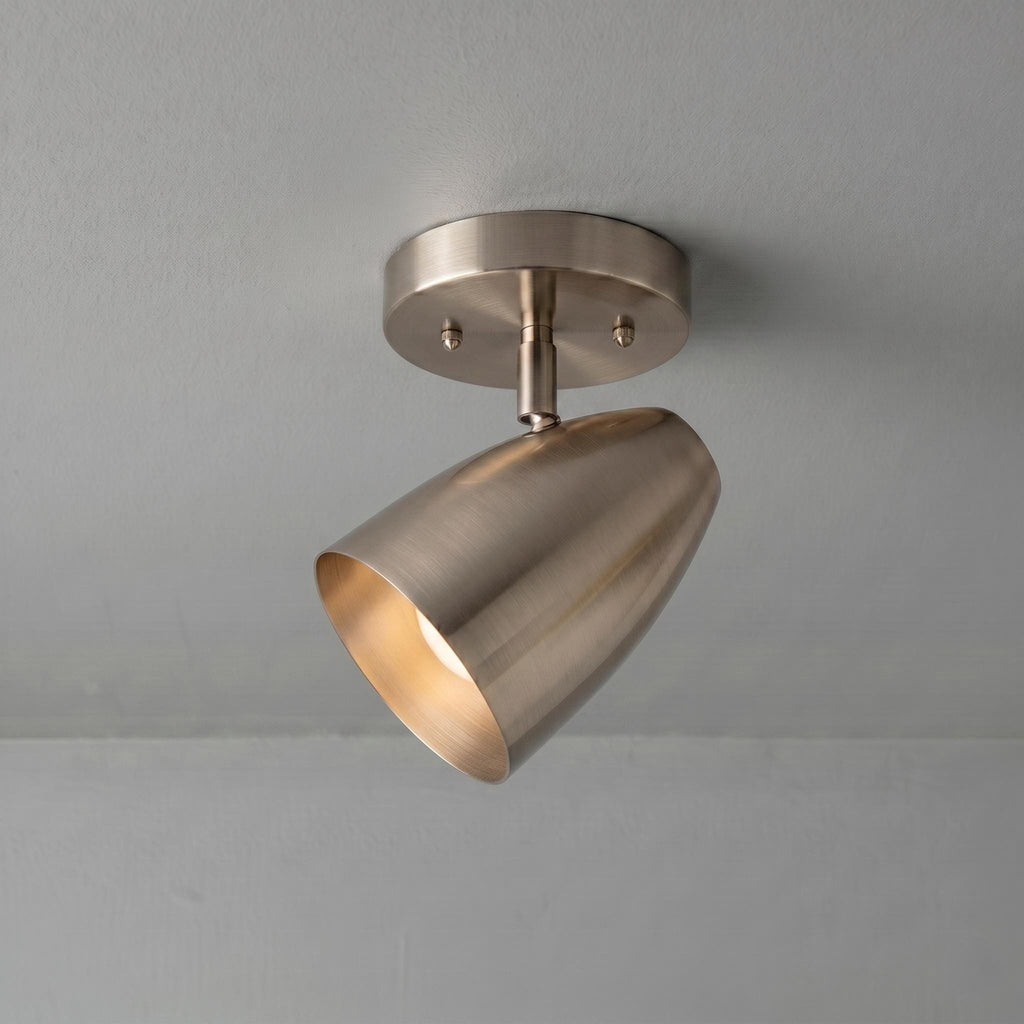Modern Brass Spotlight Ceiling Light