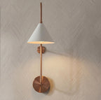 Modern Brass Swing Arm Wall Sconce