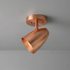 Modern Brass Spotlight Ceiling Light